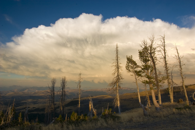 Clouds And Trees At Sunset